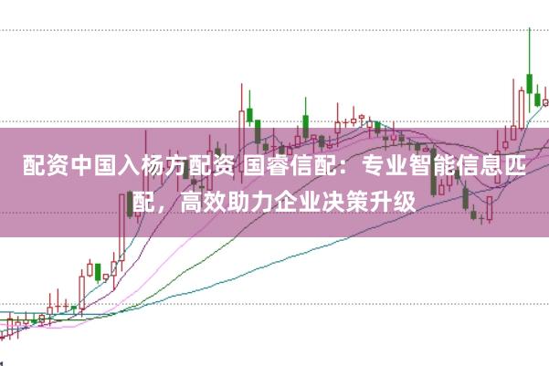 配资中国入杨方配资 国睿信配：专业智能信息匹配，高效助力企业决策升级