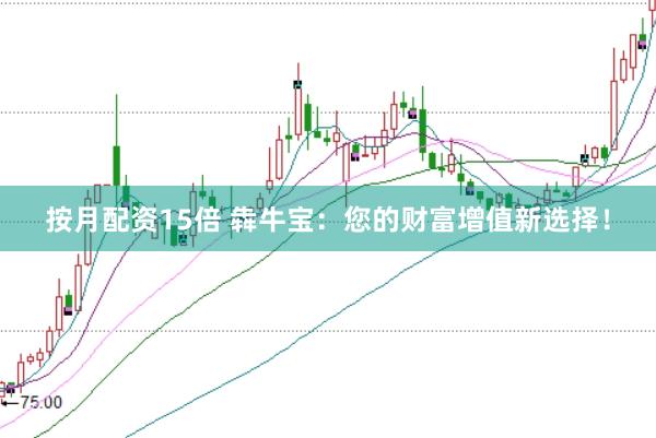 按月配资15倍 犇牛宝：您的财富增值新选择！