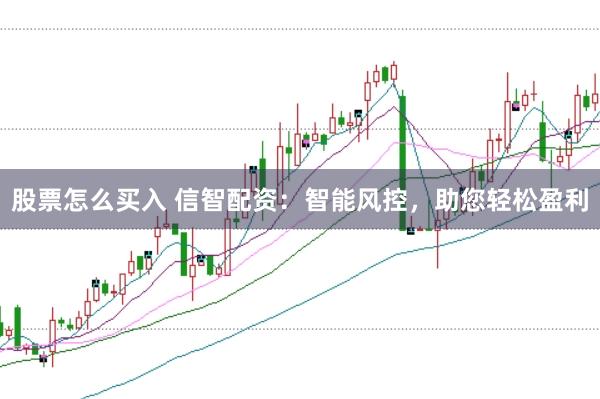 股票怎么买入 信智配资：智能风控，助您轻松盈利
