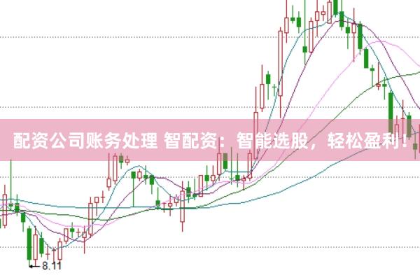 配资公司账务处理 智配资：智能选股，轻松盈利！