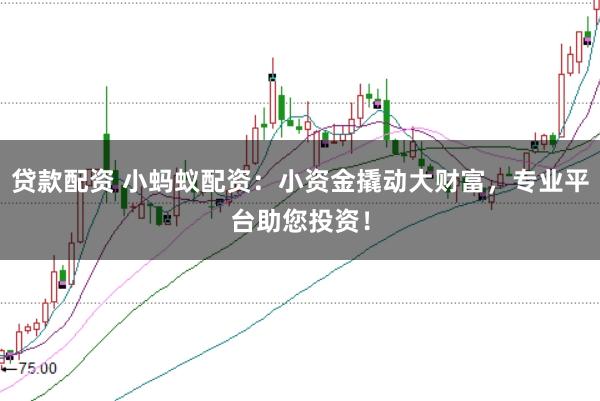 贷款配资 小蚂蚁配资：小资金撬动大财富，专业平台助您投资！