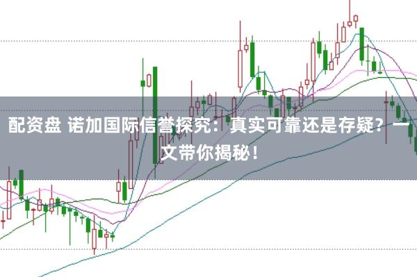 配资盘 诺加国际信誉探究：真实可靠还是存疑？一文带你揭秘！